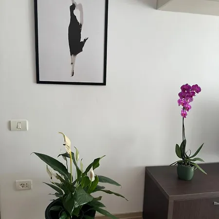 Appartement Mihai Viteazu