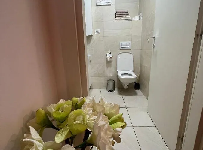 Apartment Mihai Viteazu