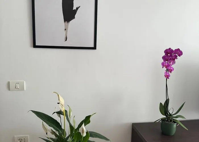 Apartment Mihai Viteazu