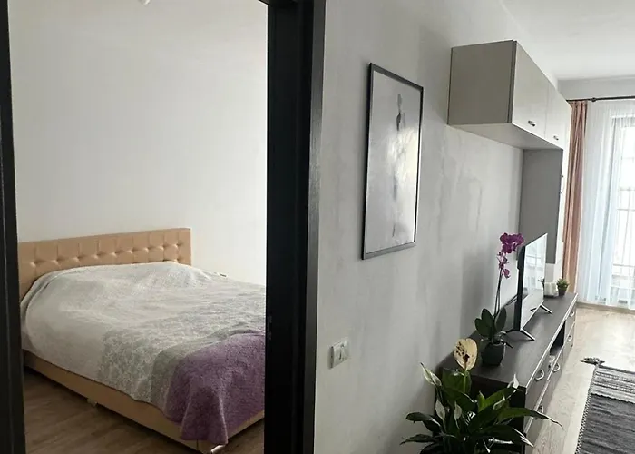 Mihai Viteazu Apartment